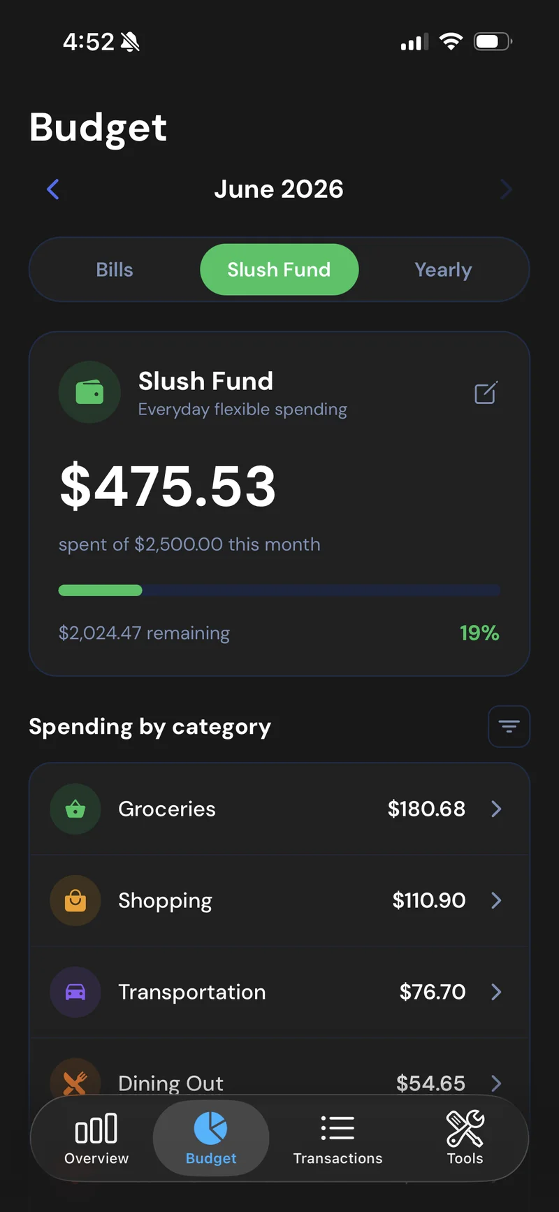 Truvaro budget screen showing a slush fund